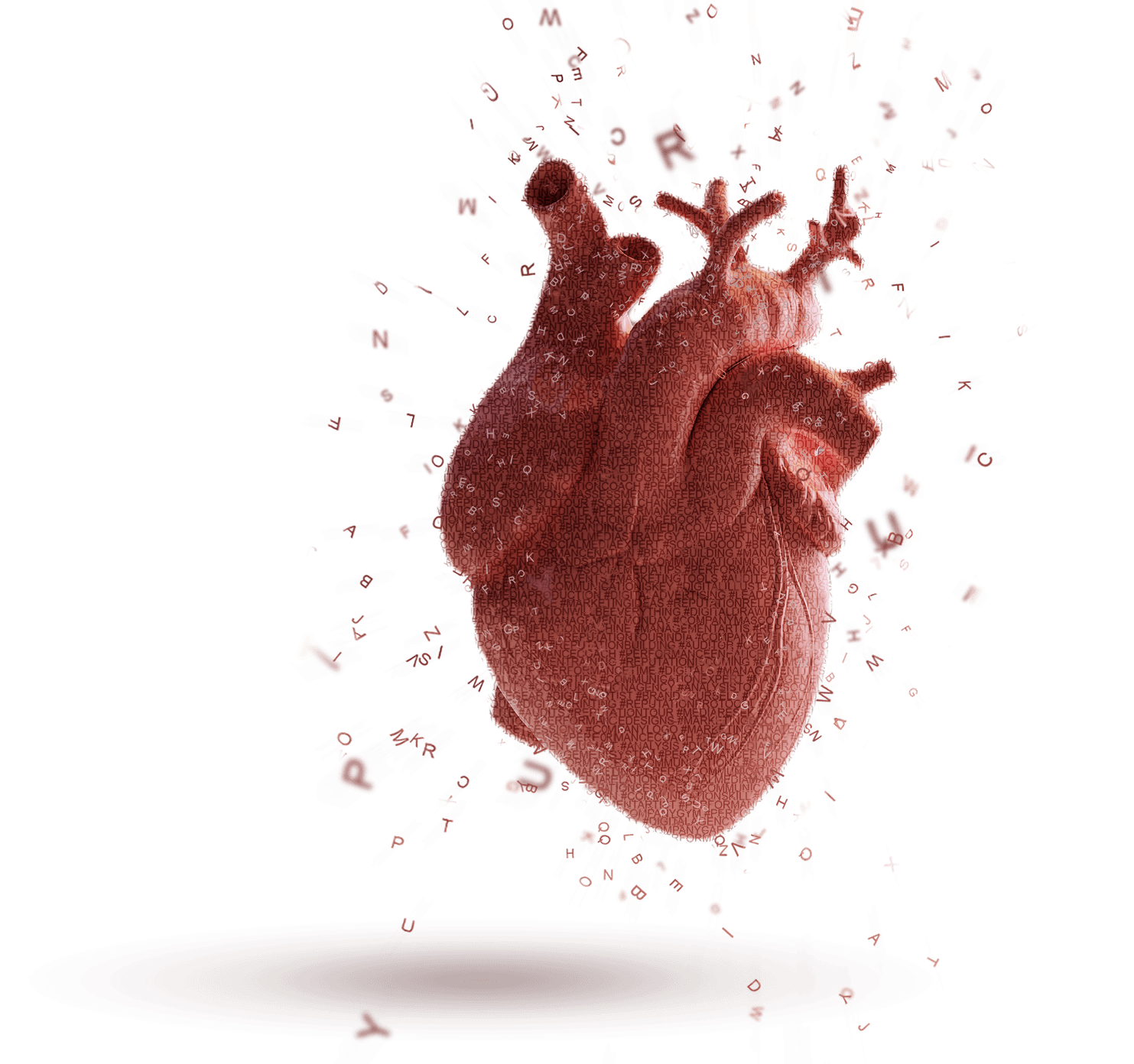 the-fool-immagine-cuore-azienda